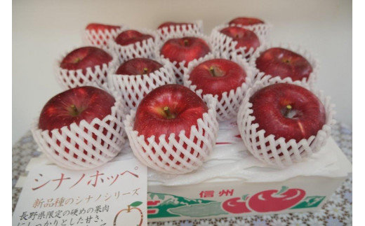 【11月中旬発送予定】 長野生まれの甘いりんご シナノホッペ 1箱(5kg) 003-010