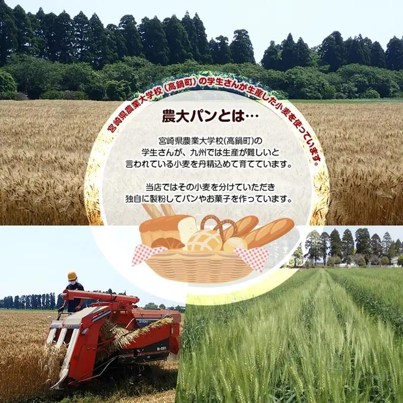ベーグル 詰め合わせ 食べ比べ パン 7種×24個 