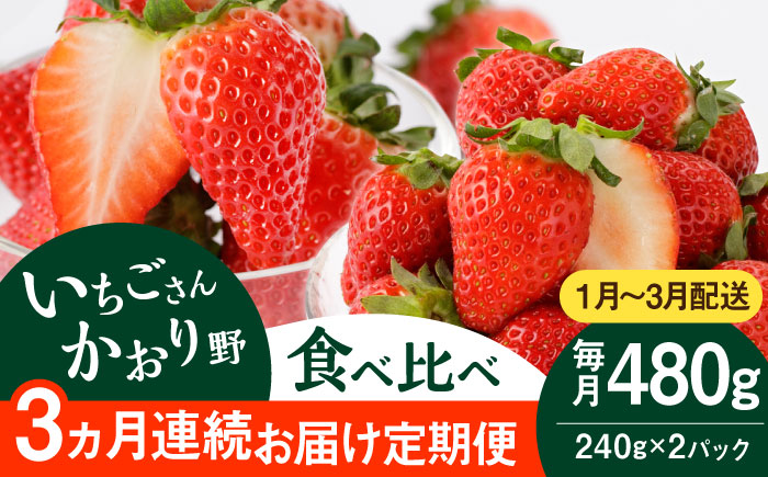 【先行予約 2027年1月～発送】【3回定期便】赤いちご食べ比べ！かおり野＆いちごさん【StrawberryFarm-K】イチゴ [IBJ007]
