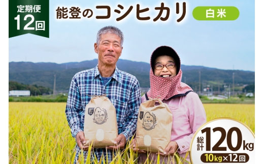 【期間限定発送】 米 定期便 コシヒカリ 白米 10kg 12回 総計 120kg [農家にしの 石川県 宝達志水町 38601410] こしひかり お米 おこめ こめ コメ 精米 ごはん ご飯 令和8年産 新米
