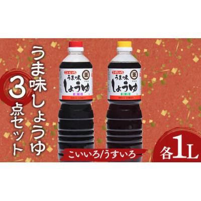 ふるさと納税 琴平町 うま味しょうゆこいいろ・うすいろ3点セット　(こいいろ2本・うすいろ1本)