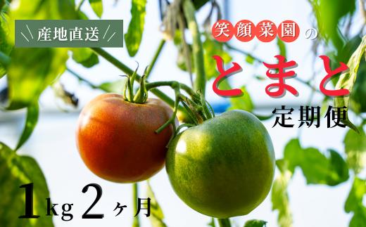 
            【定期便・全2回】笑顔菜園ひらまつの大玉トマト(トマト) 1kg（60サイズ）×2回 | 新鮮野菜 旬の野菜 ヘルシー 健康 高糖度   大容量 リコピン ミネラル 健康 おやつ ギフト 贈り物 北海道 上川郡[016-97]

          