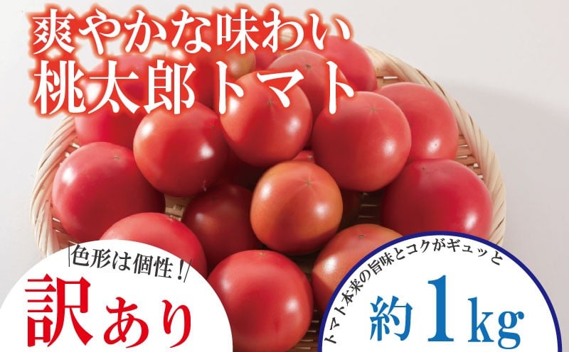 
            【訳あり】 【選べるお届け月】 トマト 約1kg 桃太郎 先行予約  甘い 野菜 やさい 国産 産地直送 数量限定 旬 桃太郎トマト 生野菜 新鮮 ソース 調味料 ケチャップ サラダ 美容 新鮮 健康 お取り寄せ グルメ おすすめ 人気 徳島県 小松島市
          