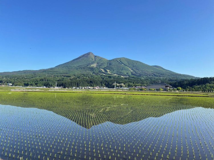 【令和7年度産 新米予約】日本一のお米 ゆうだい21 猪苗代町産 白米 5kg 第26回米・食味分析鑑定コンクール国際大会 金賞 日本一獲得 ※2025年10月下旬頃より順次発送予定 ※離島への配送不
