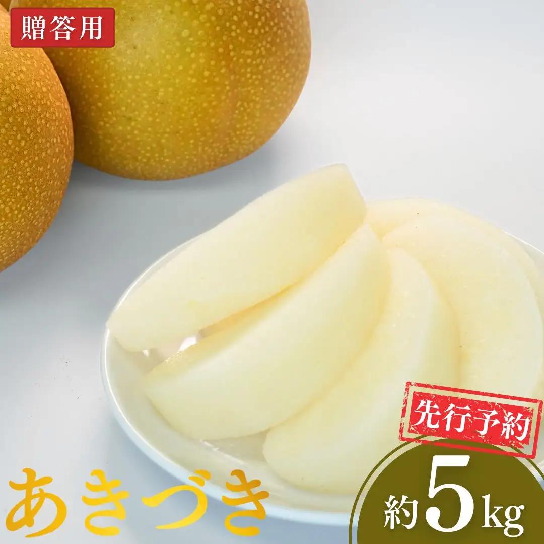 先行予約 和梨 あきづき 約5kg 令和8年 新潟県 三条市 小林農園