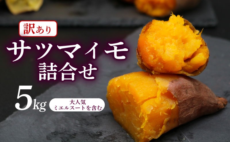 
                  【先行予約】(2026年10月末～発送予定)【訳あり】  サツマイモ 詰め合わせ 5キロ ミエルスイート ＋1種類以上 安納黄金 紅はるか 土佐紅 焼き芋 焼いも 焼芋 やきいも 野菜 やさい 食品 人気 おすすめ わけあり 不揃い 傷 高知県 南国市
                