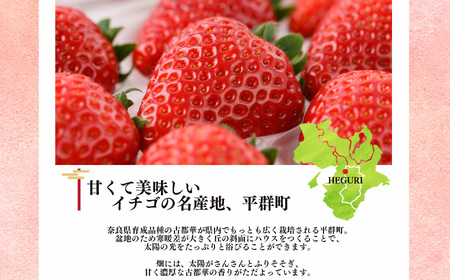 4月発送 M〜Lサイズ 計4パック | 果物 いちご 古都華 希少 糖度 産地直送 奈良県 平群町