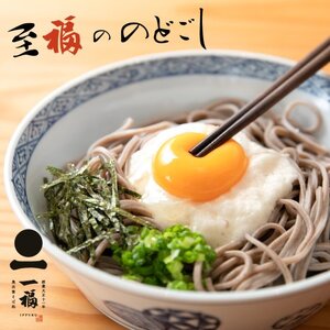 奥出雲そば一福 八割生そば大和芋セット（10人前）【蕎麦 ソバ とろろ だし付き 贈答用 ギフト 年越し】