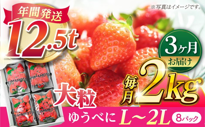 
            【先行予約】【3回定期便】大粒いちご L～2L ゆうべに 2kg（8pc）【熊本ベリー】 フルーツ 果物 くだもの いちご イチゴ 苺 ゆうべに 大粒いちご 国産 熊本県産 九州産  [ZER005]
          