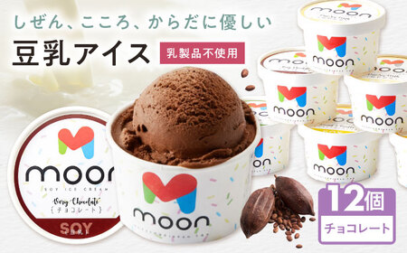 豆乳アイス チョコレート味 12個 [AQBB028] チョコアイス