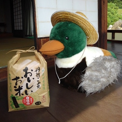 カモしゃん米　玄米5kg
