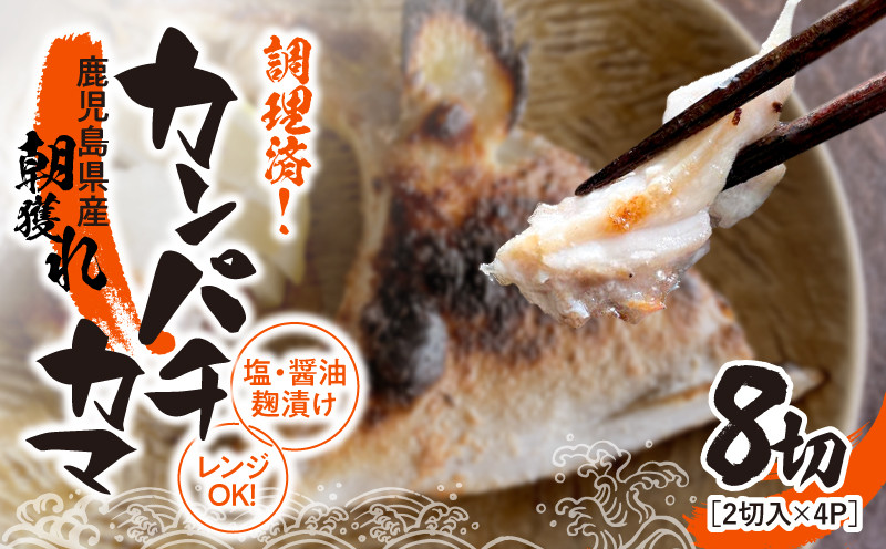
            1276 調理済み！カンパチカマ塩・醤油麹（こうじ）漬け8切（焼タイプ）　KN037-002-01
          
