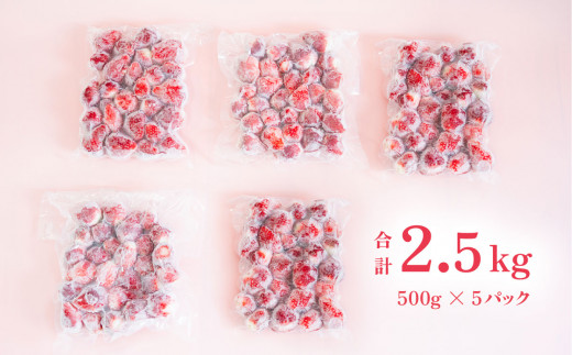 【 訳あり 】 冷凍いちご 2.5kg ( 500g x 5 ) 甘熟 完熟【 2025年4月ごろ発送予定 】【 凍眠冷凍 】 Ben‘ｓ Berry 【 いちご イチゴ 苺 とちおとめ 冷凍いちご 