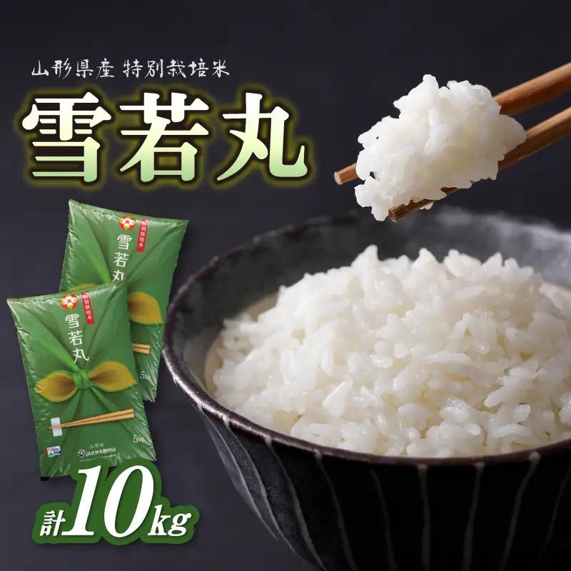 特別栽培米 雪若丸 10kg 【山形県産】【2025年度産米】 001-095