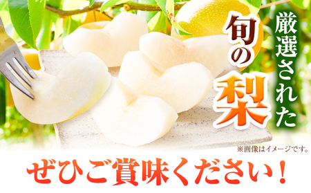 梨 幸水 豊水 約2kg 5~7玉 青空市きらり《8月中旬から12月中旬頃に出荷予定》岡山県 矢掛町 なし 幸水梨 豊水梨 あきづき 二十世紀梨 王秋梨 お中元 梨