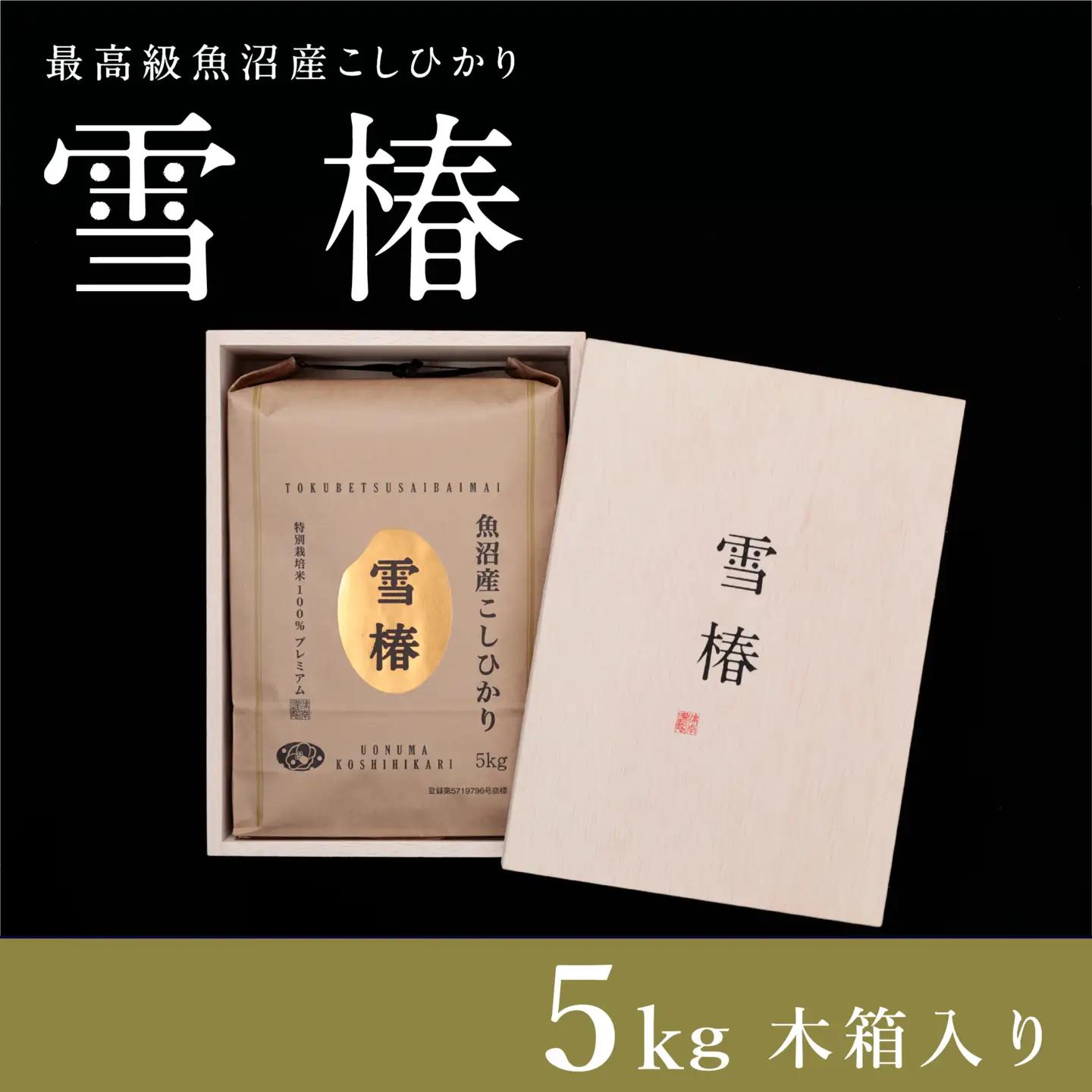 魚沼産コシヒカリ 雪椿 5kg×1袋 特別栽培米 木箱入り   | 魚沼 津南町 令和7年
