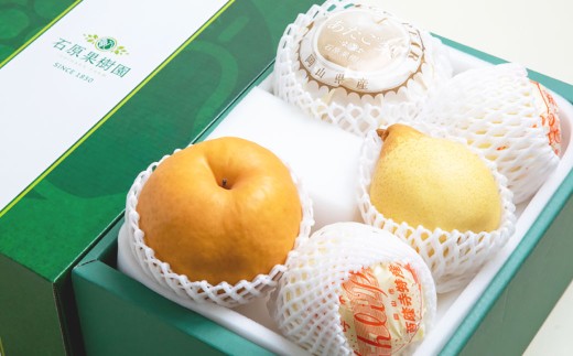 あたご梨 2～3玉 ・ 鴨梨 （ヤーリー） 3～4玉 詰合せ 合計約3kg 贈答箱 ／ 愛宕梨 梨 なし ナシ 果物  【2026年11月下旬～12月下旬発送予定】