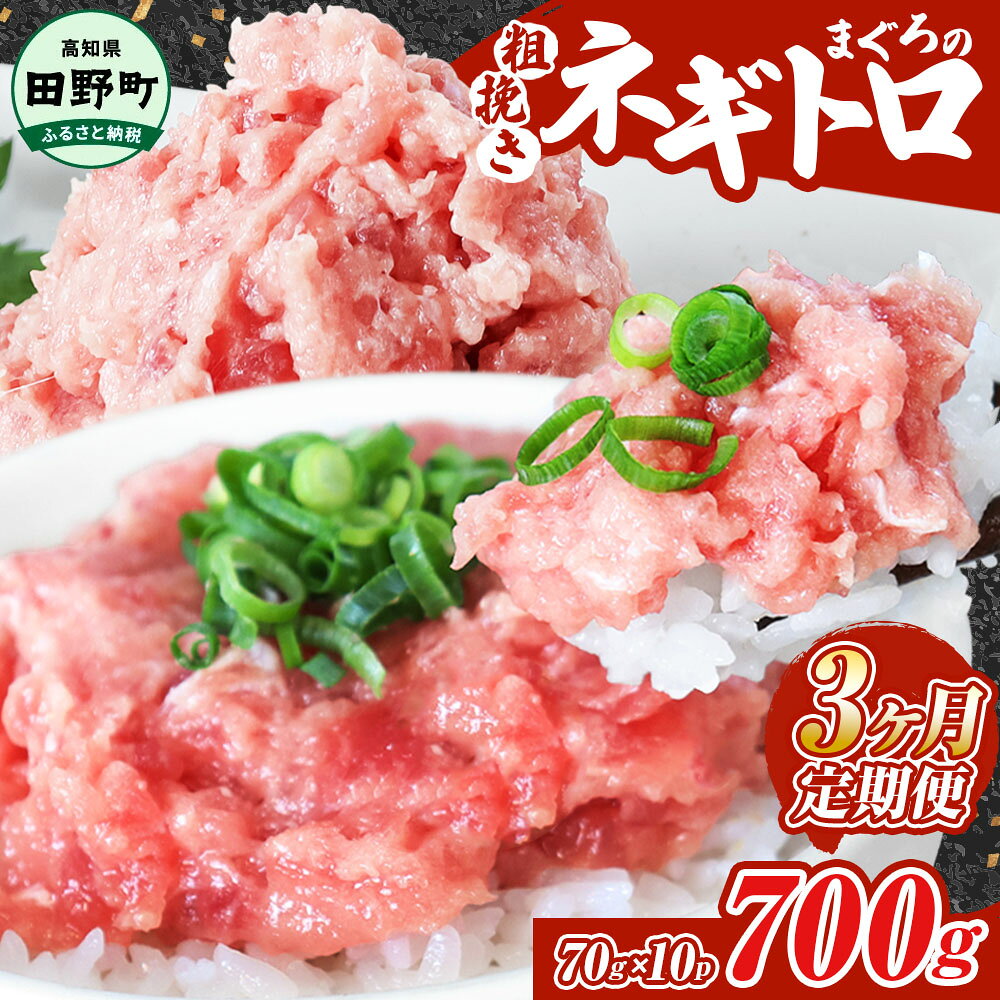 【ふるさと納税】ネギトロ 700g（70g×10パック）×3ヶ月定期便 ≪カネアリ水産≫ ねぎとろ まぐろ 鮪 マグロ キハダマグロ まぐろたたき 粗挽き 小分け パック 海鮮 魚介 便利 簡単 冷凍 配送 高知県 田野町 ふるさとのうぜい 故郷納税 返礼品 ～四国一小さなまち～