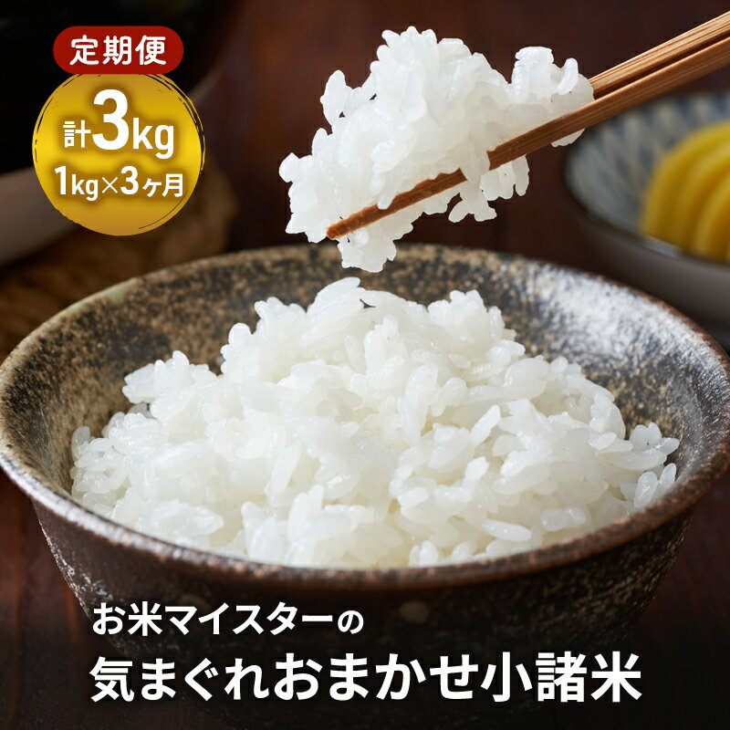 【ふるさと納税】お米マイスターおすすめ小諸米 精米 1kg 3ヶ月定期便 信州 長野 ごはん ご飯 コメ コシヒカリ あきたこまち つきあかり 風さやか ひとめぼれ ゆうだい21