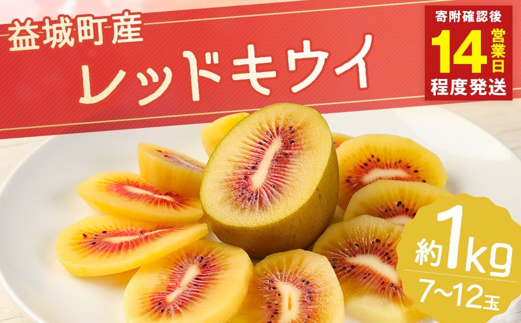 
            益城町産 レッドキウイ 約1kg（7～12玉）【2025年10月下旬～2026年2月上旬順次発送予定】
          