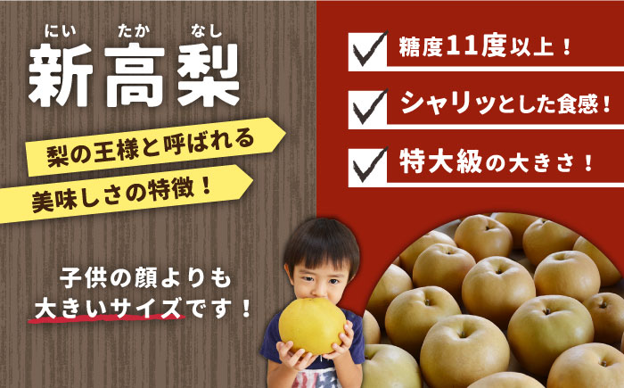 先行予約！【2025年9月〜発送】【シャリッと食感がたまらない！】新高梨 2玉 / 梨 なし  南島原市 / ふるさと企画 [SBA007]