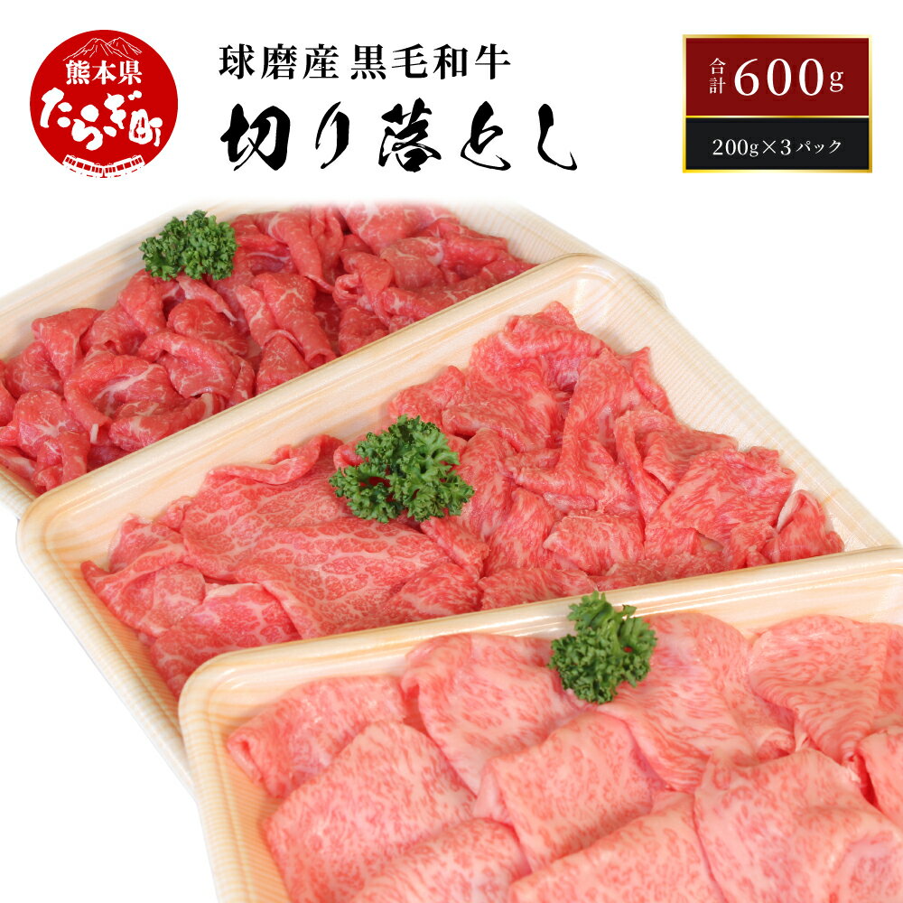 【ふるさと納税】球磨産 黒毛和牛 切り落とし 計600g ＜200g×3パック＞ 選べる配送月 牛肉 和牛 国産 小分け 煮込み料理 切落し 肉 お肉 牛 冷凍 熊本県 多良木町 球磨 球磨郡 送料無料