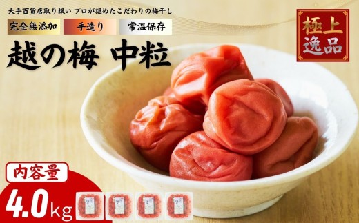 及川農園 梅干し 越の梅 【中粒】 4.0kg / 賞味期限 約3年 国産 手作り 完全無添加 大手航空会社 国際線 ファーストクラス 12年連続採用 百貨店取り扱い 梅 セット グルメ お取り寄せ 特別 ギフト 贈答品 贈り物 送料無料 【#0159-4000】