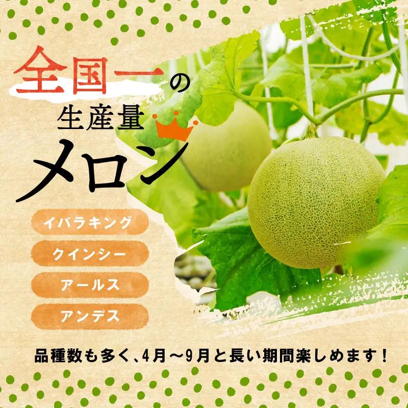 【精米】 ブランド米 5kg あきたこまち コメおこめ 令和7年産 精米 白米