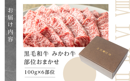 黒毛和牛 みかわ牛 希少部位食べ比べ 600g