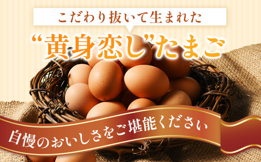 【4ヶ月定期便】赤玉卵「自然のたからもの　黄味恋し」1ケース（10個入り×3パック）×4ヶ月 ※離島への配送不可