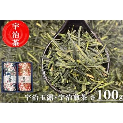 ふるさと納税 宇治田原町 宇治茶　玉露・煎茶飲み比べセット100g×2缶