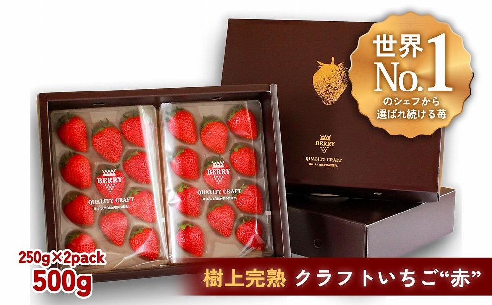 【完熟クラフト苺BERRY】有名シェフ御用達【樹上完熟赤いちご】約500g（出荷2024年12月上旬～2025年5月下旬） 242161_DY014