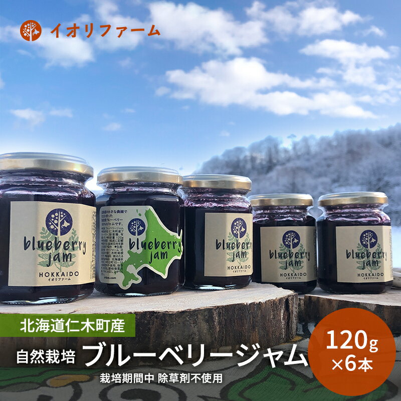 【ふるさと納税】北海道仁木町産 自然栽培ブルーベリージャム 120g×6本 栽培期間中 除草剤・化学農薬・化学肥料不使用 果物 詰合せ セット フルーツ [iori farm hokkaido]