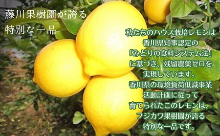 【2026年先行予約】みどり認定 ハウス栽培イエローレモン 2.3kg 国産レモン 香川 柑橘類 レモン　 