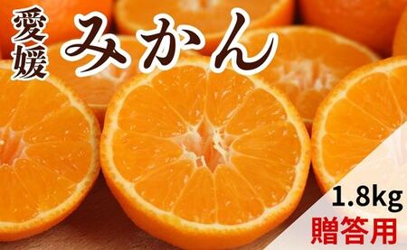 【先行予約】【発送期間：2026年10月下旬～なくなり次第終了】【贈答用】愛媛みかん 1.8kg みかん