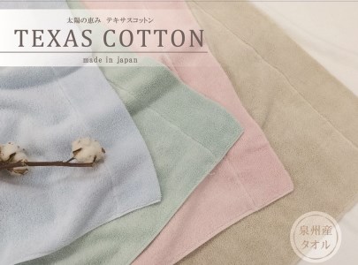 TEXSAS COTTON 100% タオルケット シングル ホワイト 1枚 SNT-20TXWH [3227]