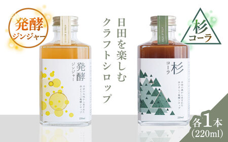 日田杉香るクラフトコーラ　「杉コーラ」　/ピリッと生姜とシナモンの甘い香り　「発酵ジンジャー」　 飲み比べセット（杉コーラ、発酵ジンジャー2本セット/各1本） スパイス 炭酸 シロップ[ARDA009]