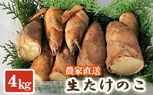 
【先行受付】生たけのこ 4kg予約 4月上旬～中旬発送
