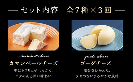 チーズオールスターズ定期便全3回 OSA024 | チーズ