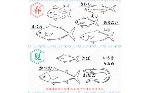 朝どれ地魚３〜４種類 6~8人前 お刺身セット 生すり身付き(Ｂ) YS004