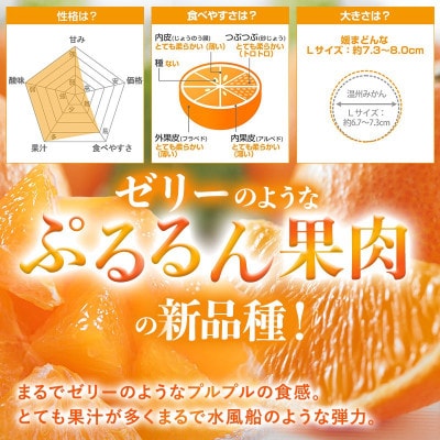 のま果樹園の媛まどんな(約2kg)バラ詰め【1759317】