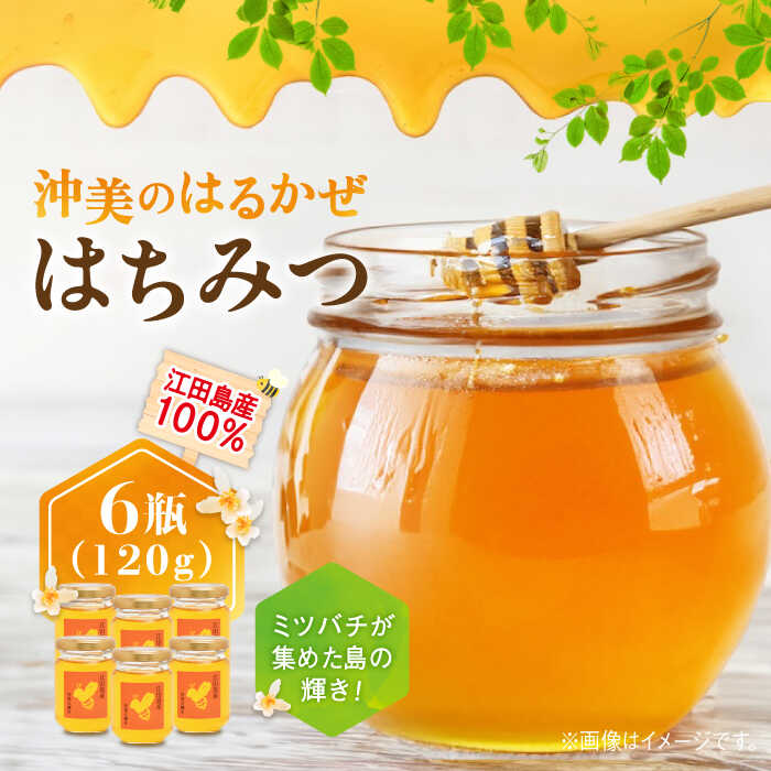 【ふるさと納税】【年内発送】まじりっけなし！江田島産100％!はちみつ『沖美のはるかぜ』120g×6本セット ハチミツ ハニー 蜂蜜 国産 広島県 江田島市/はつはな果蜂園[XCD005]