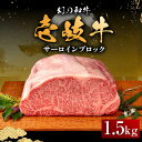 【ふるさと納税】【お中元対象】壱岐牛 サーロイン ブロック 1.5kg 《壱岐市》【中津留】[JFS003] 冷凍配送 黒毛和牛 A5ランク サーロイン ステーキ 焼肉 BBQ 牛肉 肉 サーロインステーキ 赤身 焼き肉 ブロック肉 ブロック イベント 97000 97000円 焼肉用