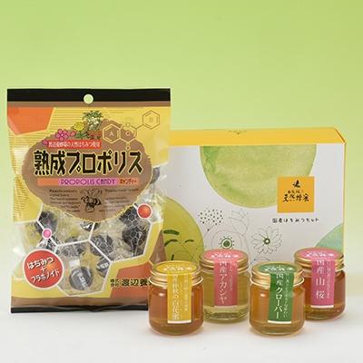 ふるさと納税 二本松市 【はちみつセットA】4種のはちみつ各50g入りセット