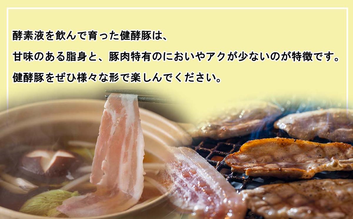 ＜ 定期便 6回 ＞ 北海道産 健酵豚 おまかせ セット （ 精肉 