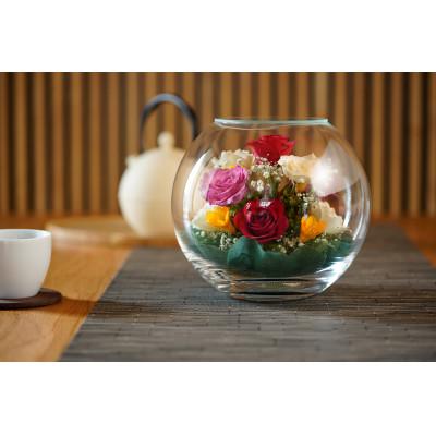 ふるさと納税 広川町 Mix Bowl(A-N)
