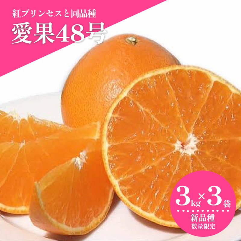【2027年3月上旬頃から順次発送】  愛果48号（紅プリンセスと同品種） 約3kg × 3箱 ｜あいか 愛果 紅まどんな × 甘平 紅プリンセス と同品種 みかん 蜜柑 ミカン 柑橘 果物 フルーツ