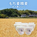 【ふるさと納税】もち麦精麦大人買い（小）　【 雑穀 加工食品 食物繊維 茹で上げ サラダ トッピング スープ リゾット お料理 ブレンド 】