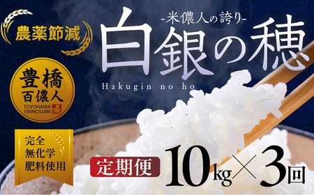 令和7年産【定期便】米儂人の誇り 白銀の穂 10kg×3回 お米