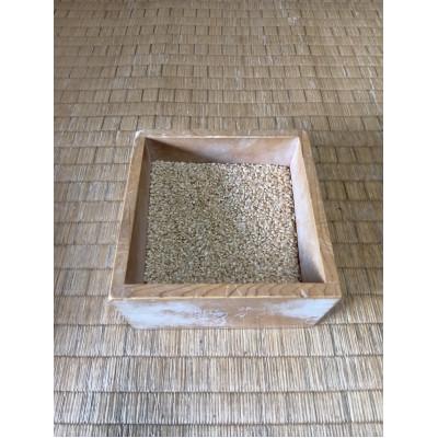 ふるさと納税 越生町 【令和8年産】埼玉県越生町産 コシヒカリ(玄米) 10kg |  | 01